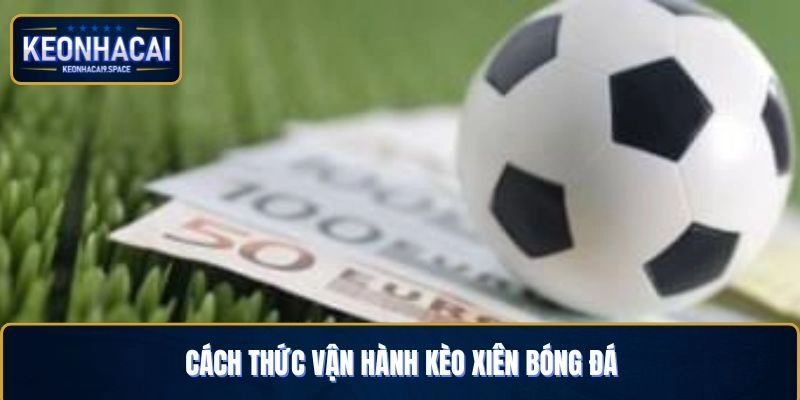 Cách thức vận hành kèo xiên bóng đá chi tiết nhất cho thành viên