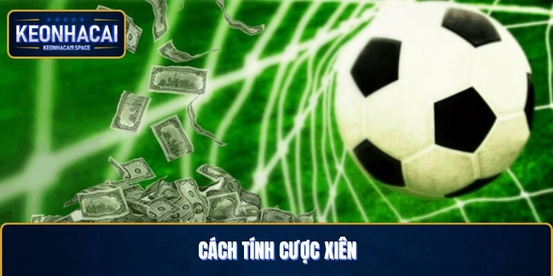 Cách Tính Cược Xiên – Bí Quyết Nâng Hạng Cùng Kèo Nhà Cái