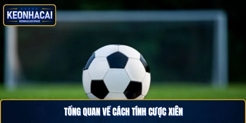 Tổng quan về cách tính cược xiên