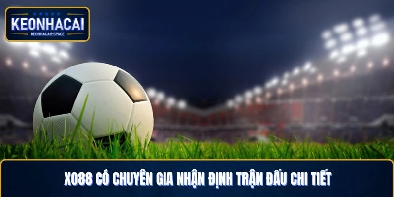 Chuyên gia nhận định mọi trận đấu có trên hệ thống