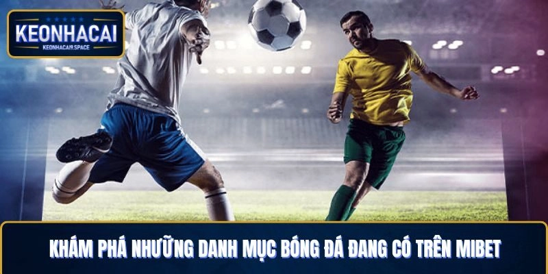 Khám phá những danh mục cá cược bóng đá đang có mặt trên Mibet