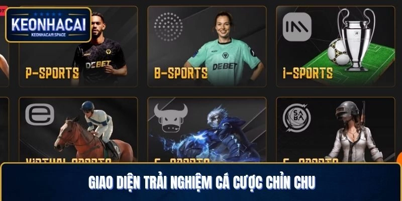 Giao diện trải nghiệm cá cược chỉn chu