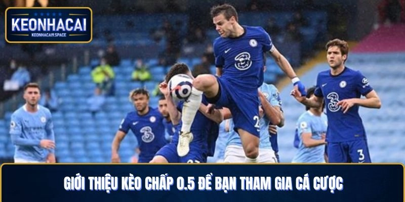 Giới thiệu về kèo chấp 0.5 để bạn tham gia cá cược bóng đá