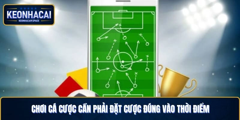 Chơi cá cược cần phải đặt cược đúng vào thời điểm