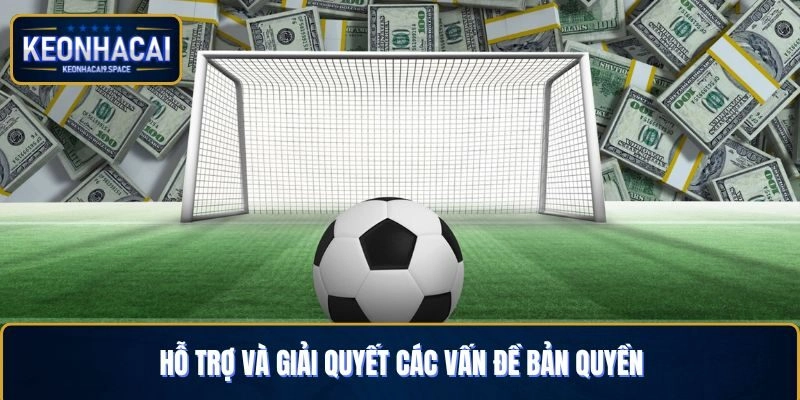 Hỗ trợ và giải quyết các vấn đề bản quyền
