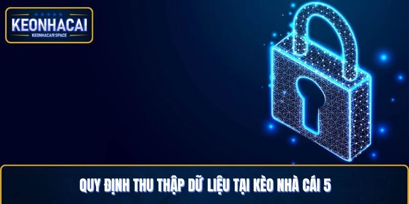 Quy định thu thập dữ liệu tại Kèo Nhà Cái 5
