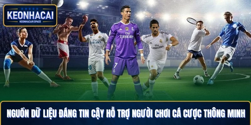 Nguồn dữ liệu đáng tin cậy hỗ trợ người chơi cá cược thông minh