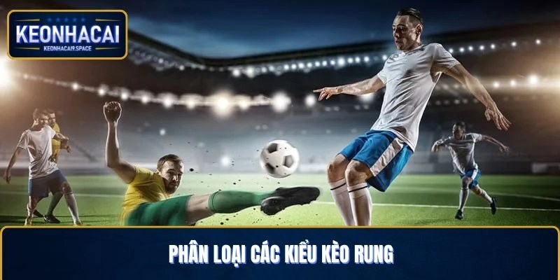 Phân loại chi tiết các kiểu kèo cược rung trong trận đấu
