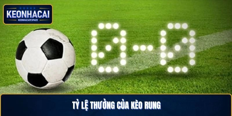 Tỷ lệ thưởng cược rung thường khá cao