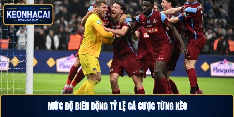 Mức độ biến động tỷ lệ cá cược từng kèo