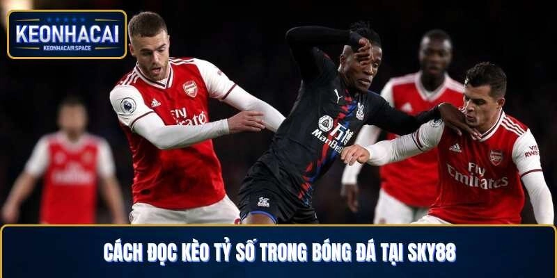 Đọc kèo tỷ số dễ dàng tại môn thể thao mua