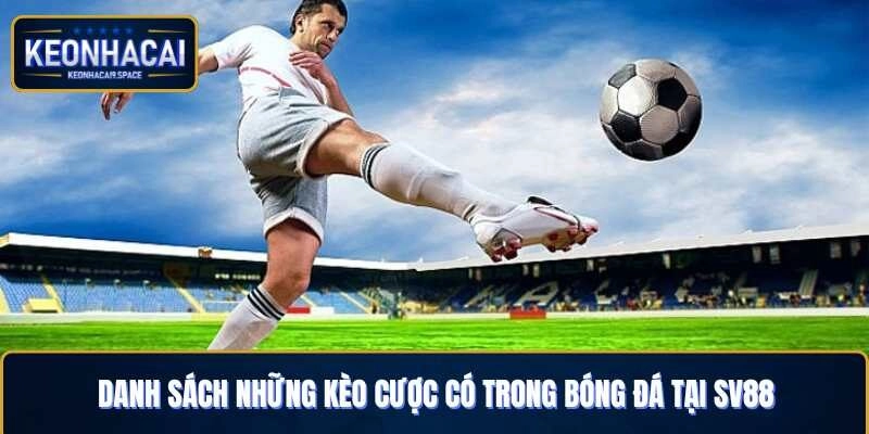 Những hình thức cược trong thể thao vua
