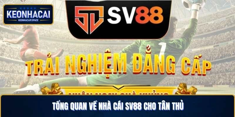 Những nét cơ bản về nhà cái Sv88
