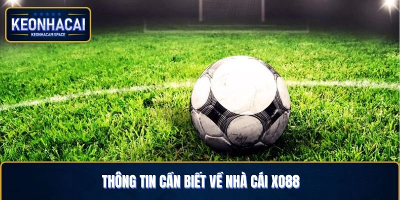 Thông tin cần biết khi tìm hiểu nhà cái uy tín Xo88