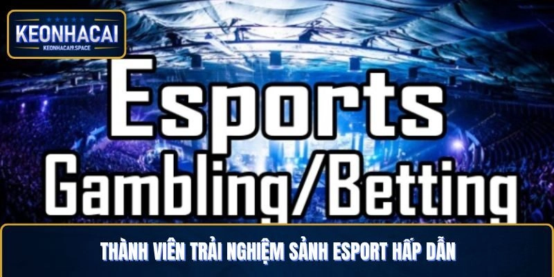 Thành viên trải nghiệm sảnh Esport hấp dẫn