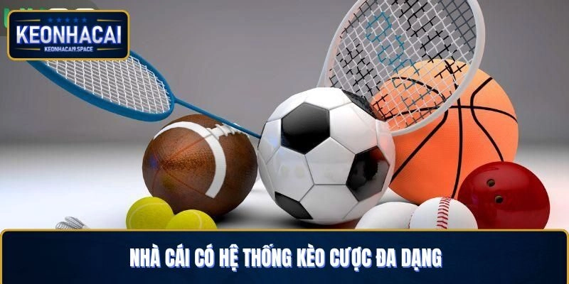 Nhà cái có hệ thống kèo cược đa dạng
