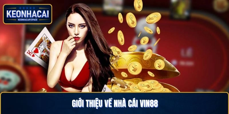 Các thông tin cơ bản về thương hiệu giải trí VIN88